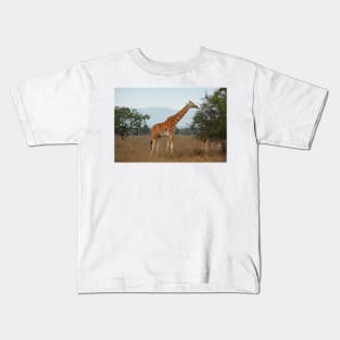 Rothschild's Giraffe Feeding, Lake Nakuru, Kenya Kids T-Shirt